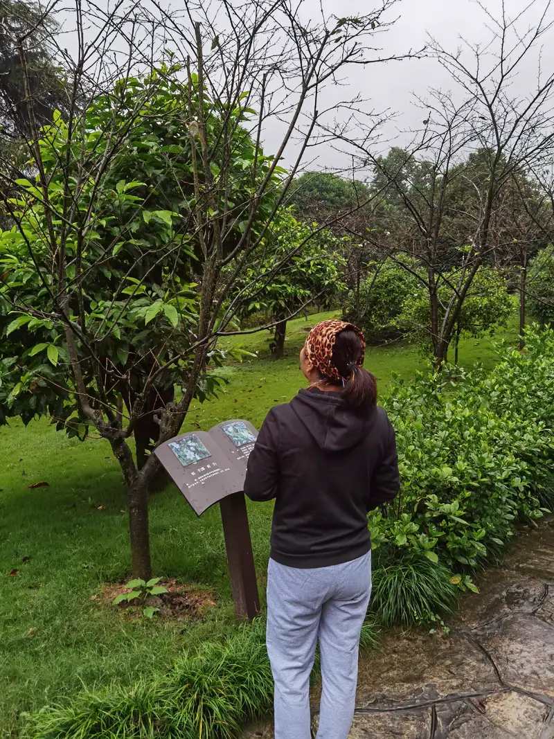 Chongqing Nanshan Botanical Garden Museum