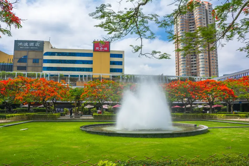OCT Ecological Square
