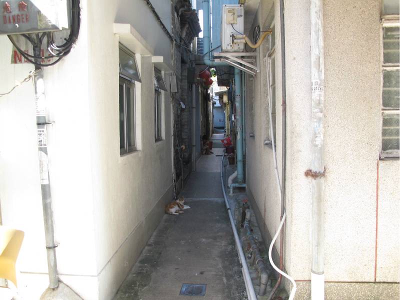 Kat Hing Wai