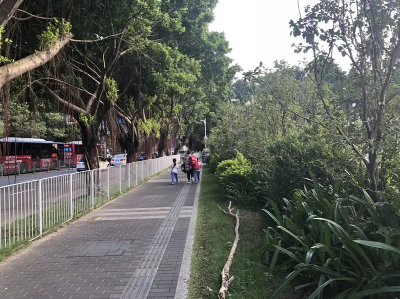 Han Tang Street