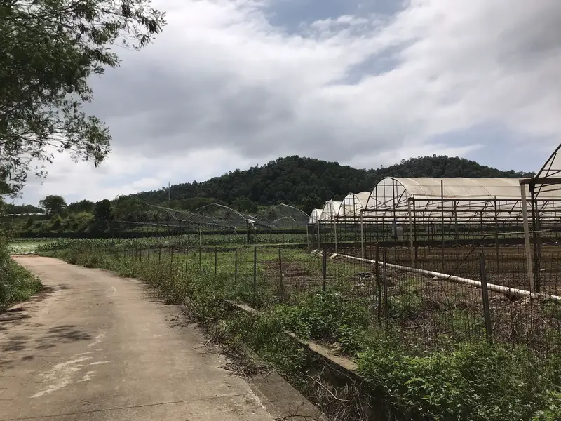 Kowloon Eco-Agricultural Park