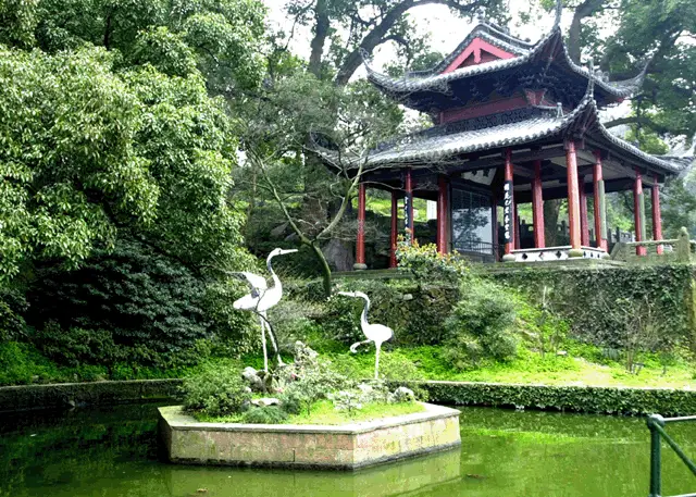 Pavilion Of Freeing Cranes