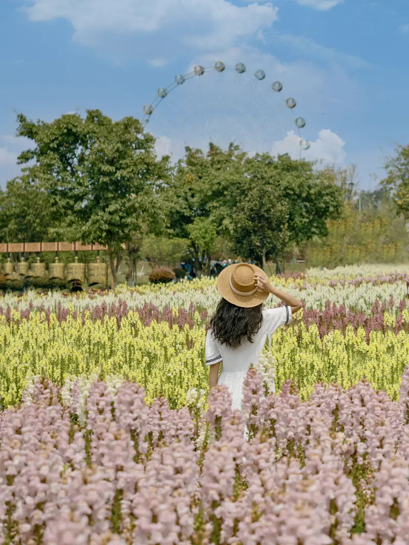 Music Hundred Flowers Valley