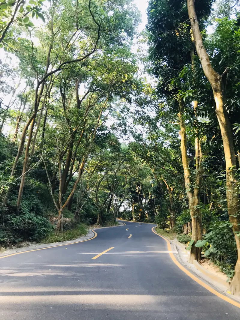 Luohansong Garden