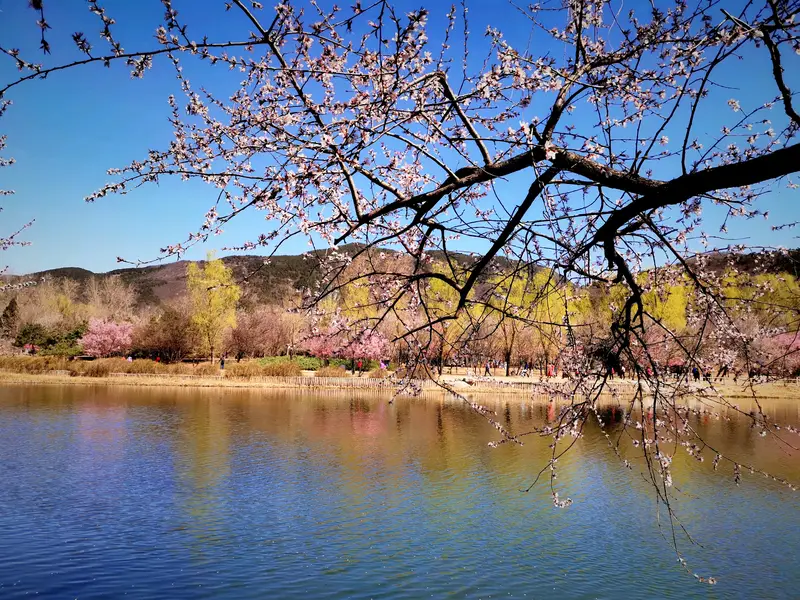 Cherry Valley Botanical Garden