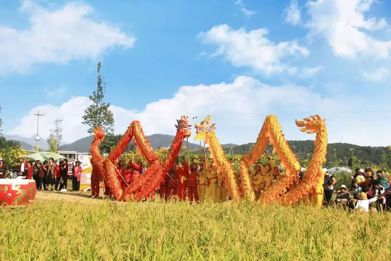 Jinyin Valley Happy Farm