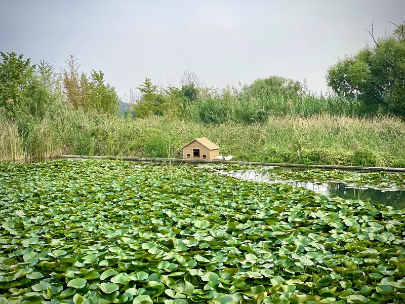 Niukouyu Wetland Park