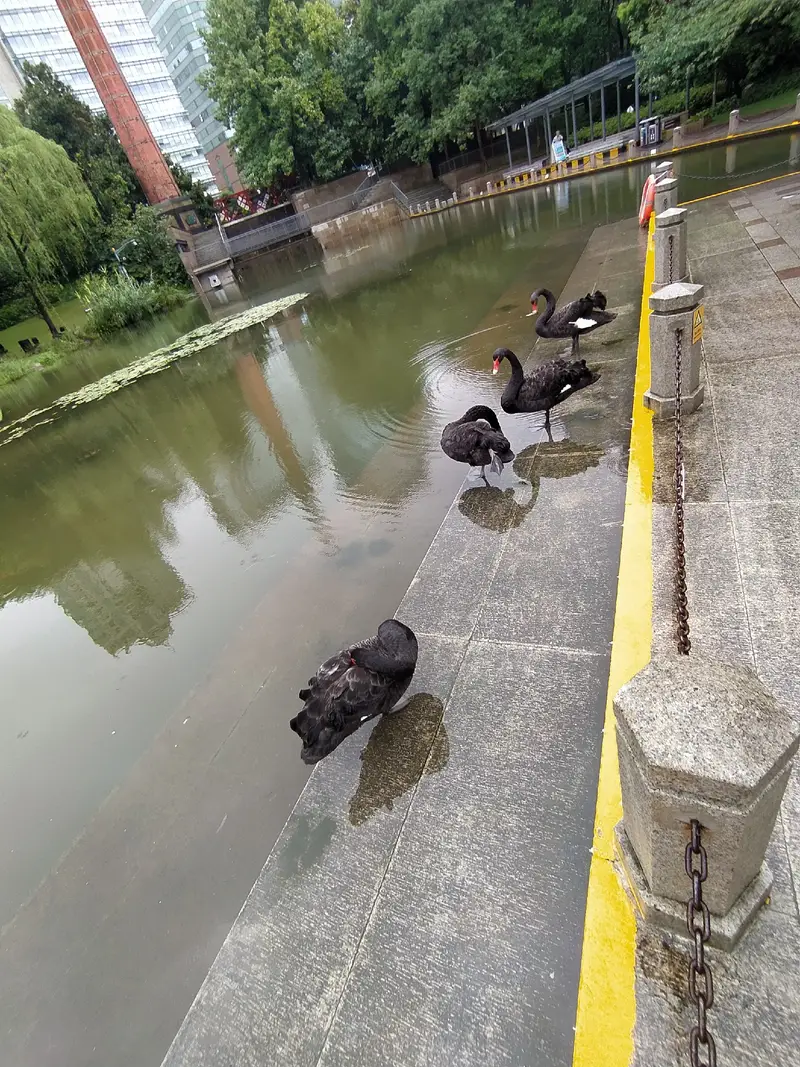 Xujiahui Park Gallery