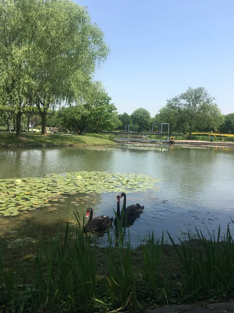 Chen Shan Botanical Garden - Aquatic Plant Garden