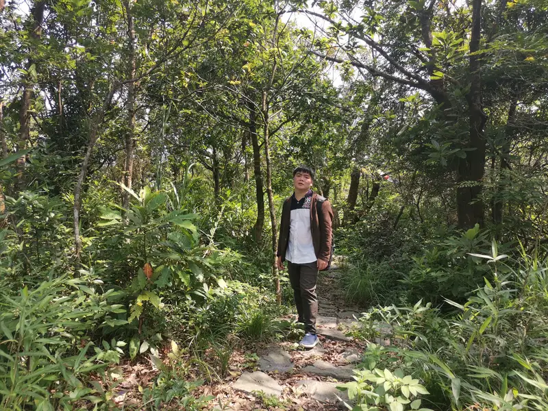 Pineapple Mountain