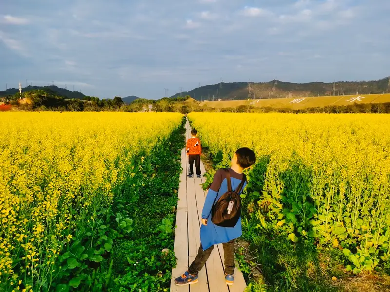 Wei Cai Lan Eco-Farm