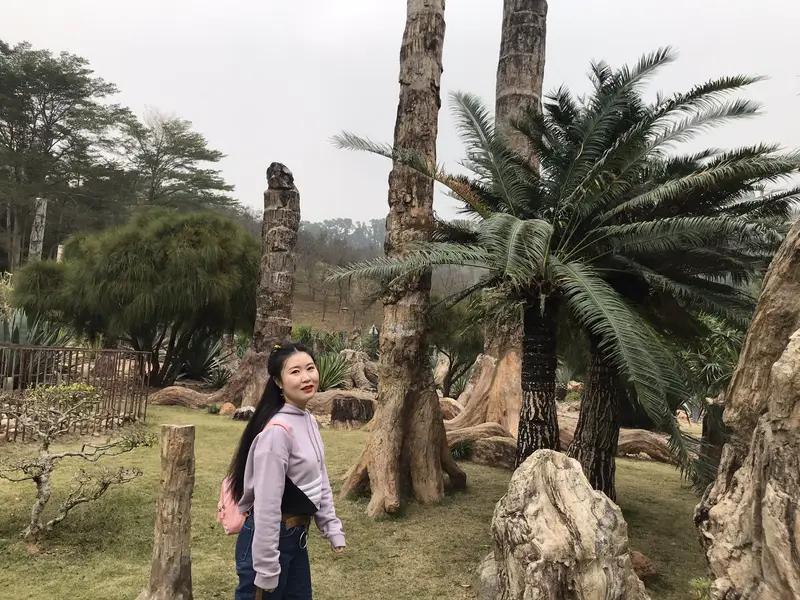 Spore Plant Wetland Area