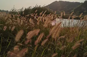 Beijing Yuxinchao River Bay Fishing Park