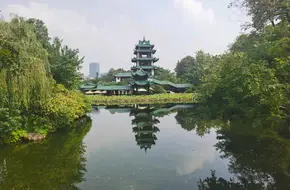 Osmanthus Lake