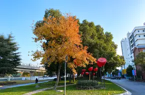 Wisdom Bay Cultural Square