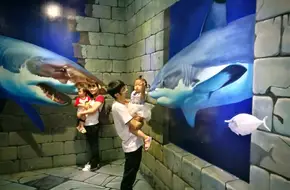 Xiaomeisha Ocean World Beluga Theater