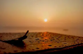 Xisha National Wetland Park - Tidal Flat Landform