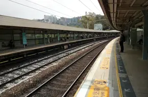 Lok Ma Chau