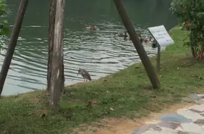 Shenzhen Polytechnic