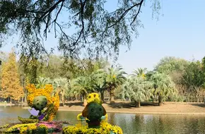Great Lawn