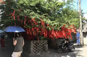 Jade Palace