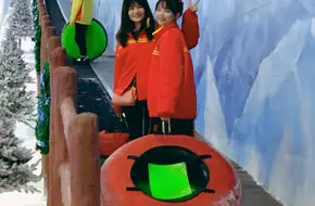 Alpine Snow World Ice Skating Rink