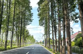 Chongming Story Homestay Hotel