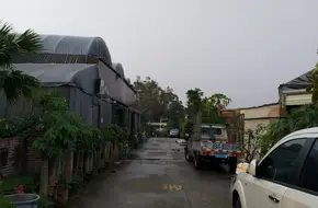 Shiyi Tea House