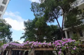 Xiangmi Lake