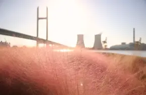 Minpu Bridge