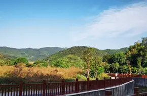Liu Wuji Lychee Garden Farm