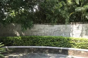 Binhai Pearl