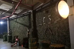 Gun Rain And Bullet Forest
