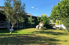 Prato