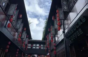 Chengdu Research Base Of Giant Panda Breeding Panda Nursery