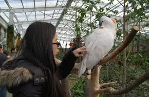 Nangong Parrot Garden