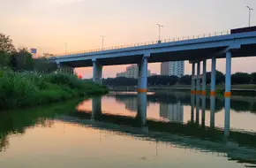 Nan Guang Green Land