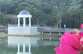 Immortal Lake