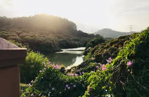 Botanical Garden Lake Area