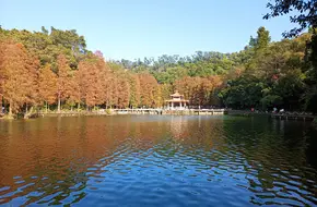 Xianhu Botanical Garden - Xian Lake