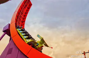 Rex'S Racer