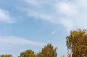 Xiangcheng Wetland Ecological Park