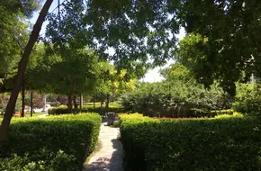 Central Park