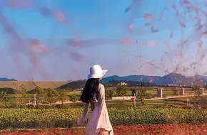 Guangming Farm Strawberry Garden
