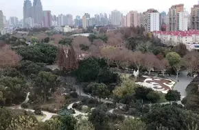 Shanghai Jiangwan Mosque