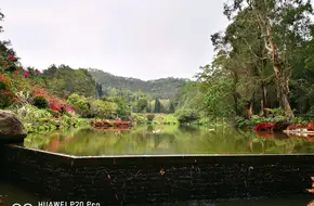 Shenzhen Fairy Lake Botanical Garden - Tianchi