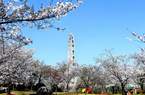 Shanghai University BaoShan Campus Library