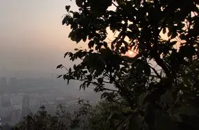 Tanglang Mountain Park - Tanglang Mountain Summit