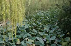 BaoShan International Folk Art Museum