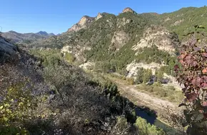 Jiayu Village